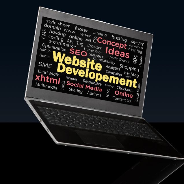 Website development